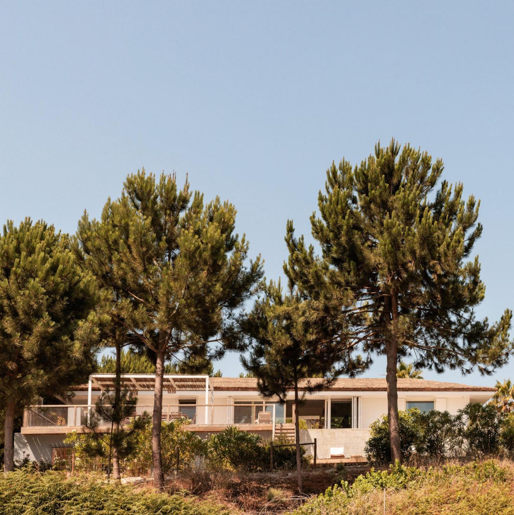 Campo De Arroz Villa Carvalhal  Exterior foto